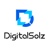 Digital Solz Limited Logotype