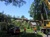 Alexandria Tree Services Unlimited Logotype