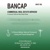 Bancap Commercial Real Estate Logotype