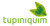 Agência Tupiniquim Logotype