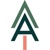 All In Strategic Consulting Logotype