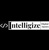 Intelligize Digital Logotype