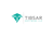 Tibsar Software LLC Logotype