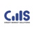 Credit Market Solutions Pvt Ltd. Logotype