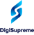 DigiSupreme - Web Design Company In Navi Mumbai Logotype