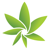 Cannabis Camera Logotype