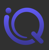 Intelliquarck Logotype