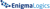 Enigma Logics Logotype