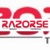 RAZORSE SOFTWARE PRIVATE LIMITED Logotype
