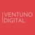 Ventuno Digital Logotype