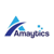 Amaytics Digital Services Pvt Ltd Logotype