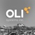 OLI Systems, Inc. Logotype