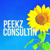 Peekz ConsultiN LLC Logotype