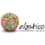 Elastico Comunicazione Logotype