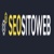 Seo Sito Web Logotype