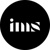 Immersive Strategies Logotype
