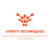 Verity Techniques Logotype