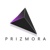 Prizmora Private Limited Logotype