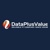 Data Plus Value Web Services Logotype