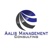 Aalis Management Consulting Logotype