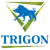 Trigon Creative Logotype