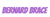 Bernard Brace Logotype