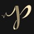 Dhanani Productions Logotype