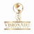 Visionaire Academy LLC Logotype