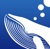 Big Blue Whale Logotype