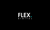 Flex Digital Agency Logotype