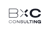 BxC Consulting Logotype