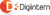 Digiintern - Best Web Designing & Seo Company Logotype