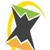 Web Media Star Logotype
