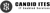 CANDID ITES Logotype
