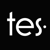 TheEvaSite, LLC Logotype