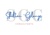 Shilton Glenys Consultants Limited Logotype