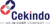 Cekindo Business International Logotype