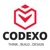 Codexo Software Pvt. Ltd. Logotype