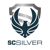 SC Silver Consultancy Ltd Logotype