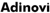 Adinovi Logotype