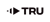 TRUSKAVKA Logotype