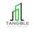 Tangible Analytics Consulting Logotype