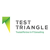 Test Triangle Logotype