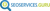 Seo Services Guru Logotype