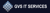 GVS IT Services Logotype