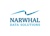 Narwhal Data Solutions Logotype