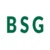 Berlin Sports Group Logotype