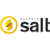 Agência Salt Logotype