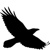 CORVUS Environmental Consulting Logotype