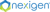 Nexigen & Cyber Security Logotype